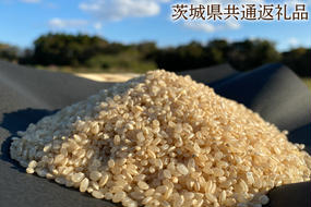 【栽培期間農薬不使用】マキタ超こしひかり 玄米10kg【茨城県共通返礼品・行方市産】【おいしい お米 マキタ 減農薬 安心  鹿嶋市】（KBE-46）