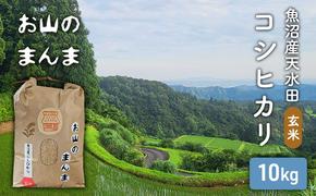 農家直送 新潟県十日町市 魚沼産天水田 コシヒカリ お山のまんま 玄米 10kg