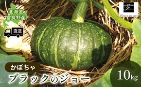 【2025年9月～発送】北海道 富良野市 かぼちゃ ブラックのジョー 10kg ふらの 野菜 カボチャ 数量限定 (フラノプレゼンツ)