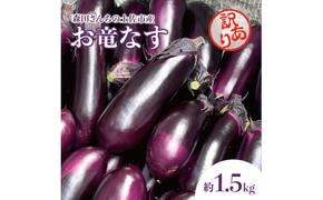 森田さんちの土佐市産お竜なす 訳あり 約1.5kg 1.5キロ 16～21本 1本約80g 茄子 ナス なすび 野菜 新鮮 焼き茄子 煮浸し 漬物 浅漬け ぬか漬け 味噌汁 おかず 訳アリ ご自宅用