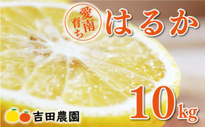 先行予約 はるか 10kg 15000円 みかん 国産 産地直送 農家直送 期間限定 数量限定 ビタミン 特産品 人気 限定 さわやか 甘い フルーツ 果物 果実 柑橘 蜜柑 糖度 果樹園 おいしい 愛媛 みかん ブランド オレンジ 大小 サイズ ミックス ゼリー ジュース ハニーレモン 風味 スマイルカット 愛南町 愛媛県 吉田農園