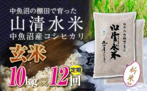 【令和6年産】【定期便／全12回】玄米10kg　新潟県魚沼産コシヒカリ「山清水米」十日町市 米