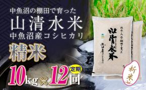 【令和6年産】【定期便／全12回】精米10kg　新潟県魚沼産コシヒカリ「山清水米」十日町市 米