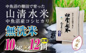 【令和6年産】【定期便／全12回】無洗米10kg　新潟県魚沼産コシヒカリ「山清水米」十日町市 米