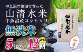 【令和6年産】【定期便／全12回】無洗米5kg　新潟県魚沼産コシヒカリ「山清水米」十日町市 米