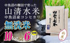 【令和6年産】【定期便／全6回】無洗米10kg　新潟県魚沼産コシヒカリ「山清水米」十日町市 米