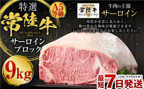 【特選】常陸牛（ひたちぎゅう）A5等級 サーロインブロック 9kg（茨城県共通返礼品 茨城県産）