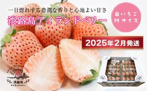 淡路島アイランドベリー　白苺淡雪　Mサイズ【2025年2月発送予約受付・お届け日指定不可】　　[白苺 いちご 苺 イチゴ 白いちご  白苺 イチゴ いちご 白いちご]