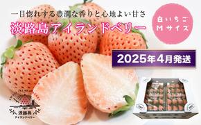 淡路島アイランドベリー　白苺淡雪　Mサイズ【2025年4月発送予約受付・お届け日指定不可】　　[白苺 いちご 苺 イチゴ 白いちご 苺 イチゴ いちご 苺 白苺 イチゴ いちご 苺 イチゴ 白いちご 苺 イチゴ いちご 苺 白イチゴ いちご 苺 白イチゴ]