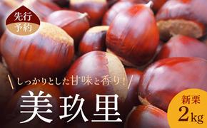 先行予約 秋の味覚！新栗2kg(美玖里)小諸市 栗 お取り寄せ