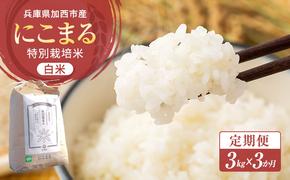 令和6年産 白米 3kg 定期便　3か月連続お届け 特別栽培米 にこまる 山田錦 米 お米 こめ コメ 特栽米 ひょうご安心ブランド ご飯 ごはん ゴハン 兵庫県 加西市