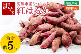 【訳あり】紅はるか約５kg【さつまいも サツマイモ 紅はるか 茨城県 鹿嶋市 10000円以下】（KAM-21）