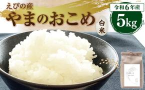 【令和6年産】新米 えびの産 ヒノヒカリ やまのおこめ 5kg 白米 お米 米 国産 宮崎県 九州 ひのひかり 送料無料 おにぎり こめ コメ