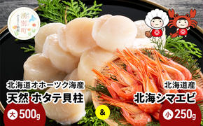 北海道オホーツク海産 天然 ホタテ 貝柱 大 500g ＆ 北海道産 北海シマエビ 小 250g ほたて 帆立 しまえび 海老 えび エビ