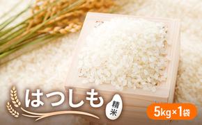 令和6年産 低農薬 清流育ち はつしも 精米 5kg×1袋 新米 お米 精白米 白米 米 ごはん 米 ご飯 ハツシモ あっさり ふっくら ブランド米 大粒 幻の米 お取り寄せ 自家用 贈答用 贈り物 御礼 産地直送 送料無料 美濃グリーン 岐阜県 美濃市