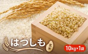 令和6年産 低農薬 清流育ち はつしも玄米 10kg×1袋 新米 お米 米 ごはん ご飯 ハツシモ あっさり ふっくら ブランド米 大粒 幻の米 お取り寄せ 自家用 贈答用 贈り物 御礼 プレゼント 産地直送 産直 送料無料 美濃グリーン 岐阜県 美濃市