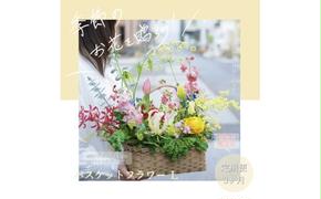 《3ヵ月定期便》季節の生花バスケットフラワーL バスケット 紙バンドバスケット フラワーバスケット 季節 手作り ハンドメイド ブルースター トルコギキョウ お取り寄せ 生花 プレゼント 贈り物
