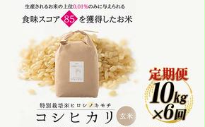 【6回定期】特別栽培米 コシヒカリ ヒロシノキモチ 玄米 10kg 総計60kg 陽咲玲 米 お米 コメ ご飯 ごはん 富山県産 富山県 立山町 F6T-463