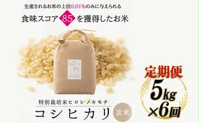 【6回定期】特別栽培米 コシヒカリ ヒロシノキモチ 玄米 5kg 総計30kg 陽咲玲 米 お米 コメ ご飯 ごはん 富山県産 富山県 立山町 F6T-466