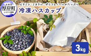 厚岸ハスカ 冷凍ハスカップ 3kg 