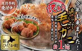 ＜2025年1月から順次発送＞ 訳あり 北海道産 浜ゆで 毛ガニ  ( 約 1kg )  ＜ 予約商品 ＞ 毛蟹 毛がに かに味噌 カニ味噌 新鮮 旬 ボイル 浜茹で 海鮮 海産物 わけあり 訳アリ 