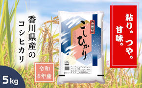 【令和6年産】香川県産 コシヒカリ 5kg 1袋　米 お米 精米 こしひかり 粘り つや 甘味