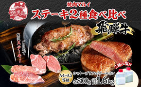 飛騨牛 ステーキ 2種 食べ比べ 計約1.6kg シャトーブリアン サーロイン 各約800g 肉 牛肉 和牛 ブランド牛 お肉 ビーフ A4ランク A5ランク 国産 お取り寄せ ご褒美 豪華 グルメ 焼肉 BBQ 人気 贈り物 自家用 贈答用 送料無料 焼肉マルイ 岐阜県 安八町