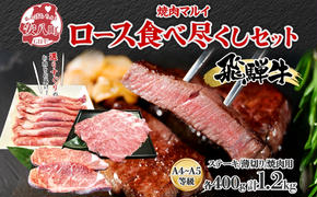 飛騨牛 ロース 食べつくし 約1.2kg  ステーキ 薄切り 焼肉用 各約400g A4ランク A5ランク お肉 牛肉 和牛 国産 ブランド牛 お家焼肉 バーベキュー BBQ 柔らかい 霜降り 旨み 真空パック 冷蔵 タレ付き 自家用 ギフト 送料無料 焼肉マルイ 岐阜県 安八町