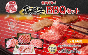 ＜7月に届く＞飛騨牛 BBQ セット 約2kg カルビ 焼肉 モモ ヒレ ロース串 各約500g お肉 牛肉 和牛 国産 ブランド牛 バーべキュー お家焼肉 赤身 冷蔵 真空パック タレ付き 送料無料 焼肉マルイ 岐阜県 安八町