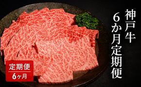 6か月定期便 [肉 牛肉 神戸牛 最高級肉 神戸ビーフ 神戸肉 但馬牛 もも 肩ロース サーロイン カルビ焼肉 すき焼き ステーキ 食べ比べ お取り寄せ 加東市 兵庫県]