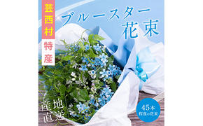 【CF-R5tka】JJM003　《先行予約》芸西村特産ブルースター花束（約45本程度の花束）