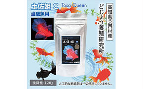 【CF-R5tka】KGC003　土佐姫 C 120g 当歳魚用 ＜最高級 フィッシュフード EPA・DHA配合 沈降性 金魚 餌＞ 土佐錦 琉金 和金 地金 コメット【餌 えさ エサ】【観賞魚 餌やり】【水槽/熱帯魚/観賞魚/飼育】【生体】【アクアリウム/あくありうむ】