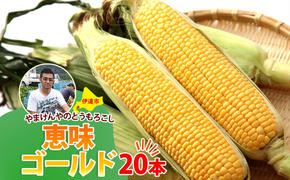 やまけんや とうもろこし 恵味ゴールド 20本 スイートコーン コーン 甘い サラダ スープ 生でも美味しい 産地直送 BBQ とうきび 国産 人気 バーベキュー 焼きとうもろこし 取り寄せ 糖度 北海道 伊達市