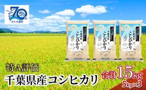 米 千葉県産コシヒカリ5kg×3 こしひかり セット お米 特A評価 精米 ふっくら もっちり 粘り気 旨み 香り ツヤ やわらかい 歯ごたえ 九十九里町 千葉県