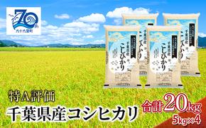 米 千葉県産コシヒカリ5kg×4 こしひかり セット お米 特A評価 精米 ふっくら もっちり 粘り気 旨み 香り ツヤ やわらかい 歯ごたえ 九十九里町 千葉県