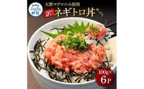 【CF-R5frp】KGP077　訳あり 天然マグロのタタキ丼セット (100g×6パック) 600g マグロ まぐろ 鮪 まぐろたたき ネギトロ ねぎとろ 小分け パック 個装 ネギトロ丼 海鮮 海鮮丼 軍艦巻き 手巻寿司 冷凍