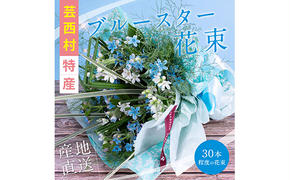 【CF-R5cdm】JJM002　《先行予約》芸西村特産ブルースター花束（約30本程度の花束）