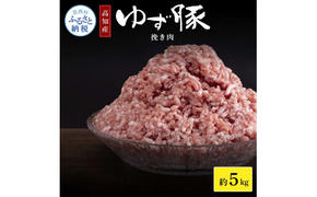 【CF-R5cdm】NIN001　なはりゆず豚挽き肉 5kg - 500g×10パック ひき肉 挽き肉 豚肉 国産 ゆず豚 高知県産 肉 おにく 冷凍 小分けパック 個包装 そぼろ ハンバーグ おうちごはん 一人暮らし 31000円