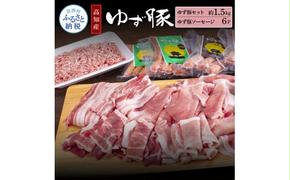 【CF-R5cdm】NIN011　なはりゆず豚セット1.5kg＋ゆず豚ソーセージ6P - バラ ロース モモ ひき肉 ソーセージ フランクフルト 豚肉 国産 詰め合わせ 冷凍 料理 おうちごはん 個包装 32000円 高知県産