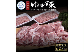 【CF-R5oni】NIN003　なはりゆず豚満喫セット 2.3kg - 豚バラ ロース モモ 肩ロース 挽き肉 ひき肉 豚 豚肉 国産 詰め合わせ セット 冷凍 料理 おうちごはん 個包装 23000円 高知県産 高知