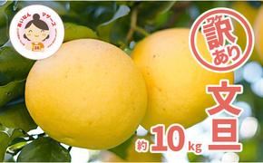 先行予約 訳あり 文旦 10kg （ Lサイズ 以上 ） 10000円 ぶんたん みかん mikan 蜜柑 ミカン 家庭用 産地直送 国産 農家直送 減農薬 糖度 期間限定 数量限定 特産品 ゼリー ジュース アイス 人気 限定 甘い 果実 果肉 フルーツ 果物 柑橘 先行 事前 予約 受付 ビタミン 健康 美味しい おいしい ジューシー サイズ ミックス あいなんマザーズ 愛南町 愛媛県