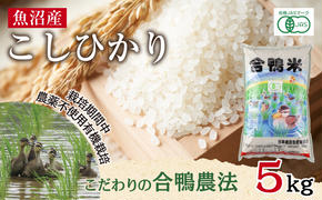 魚沼産 コシヒカリ 5kg あいがも農法 有機栽培米 精米 米 お米 ご飯 白米 合鴨 ごんべい こしひかり 特A 人気 安全 お取り寄せ 送料無料 新潟県 十日町市