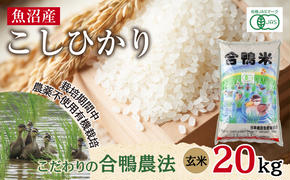 魚沼産 コシヒカリ 20kg あいがも農法 有機栽培米 玄米 米 お米 ご飯 胚芽 合鴨 ごんべい こしひかり 特A 人気 安全 お取り寄せ 送料無料 新潟県 十日町市