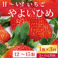 【2025年1月より順次発送】【3ヶ月定期便】甘～い！いちご　やよいひめ　12粒～15粒入り　1箱×3回(V-16)