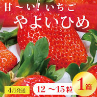 【2025年4月発送】甘～い！いちご　やよいひめ　12粒～15粒入り　1箱(V-17)