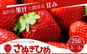 香川県オリジナル品種！　ご家庭用さぬきひめ苺　6パック