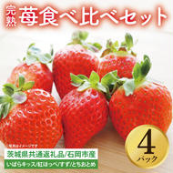 【先行予約】完熟苺 食べ比べセット 4パック【茨城県共通返礼品：石岡市】│ 完熟 いちご イチゴ いばらキッス 紅ほっぺ すず とちおとめ（BH001）