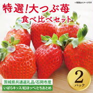 【先行予約】特選大つぶ苺 食べ比べセット 2パック【茨城県共通返礼品：石岡市】│ 特選 完熟 いちご イチゴ いばらキッス 紅ほっぺ すず とちおとめ（BH003）