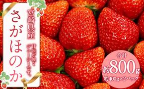 【2025年2月発送開始予定】さがほのか 約800g (約400g×2パック) いちご イチゴ 苺 フルーツ くだもの 果物 九州 宮崎 送料無料