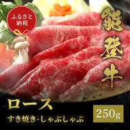 肉【和牛セレブ】能登牛 牛ロース すき焼き・しゃぶしゃぶ 250g ロース 黒毛和牛 霜降り ギフト 石川県 能美市